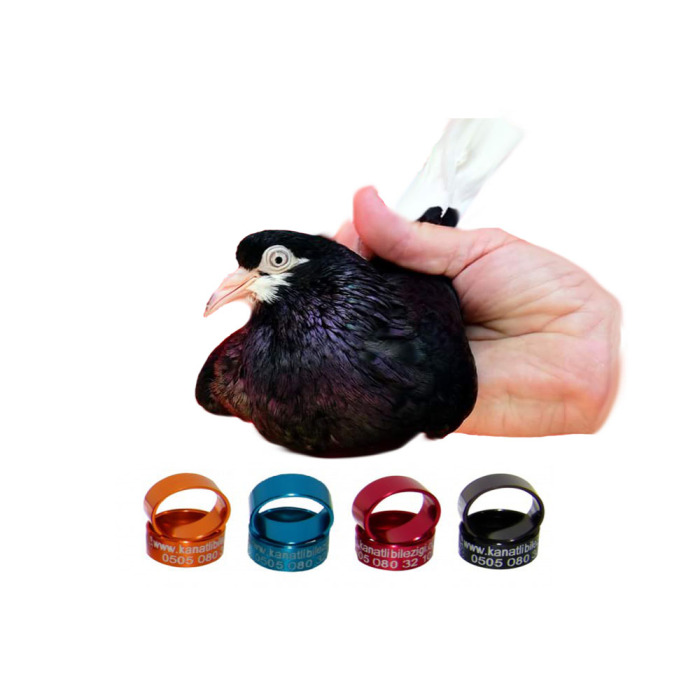 Bursa Oynarı Bilezikleri Alüminyum (50) Adet