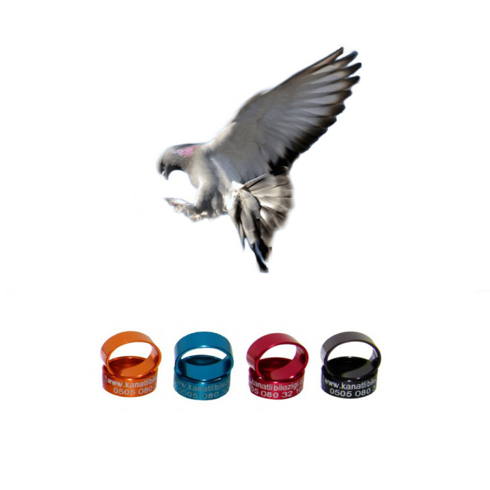 Taklacı Güvercin Bilezikleri Alüminyum (50) Adet