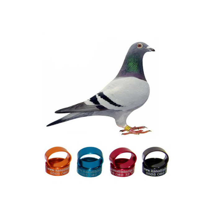 Posta Güvercin Bilezikleri Alüminyum (50) Adet	