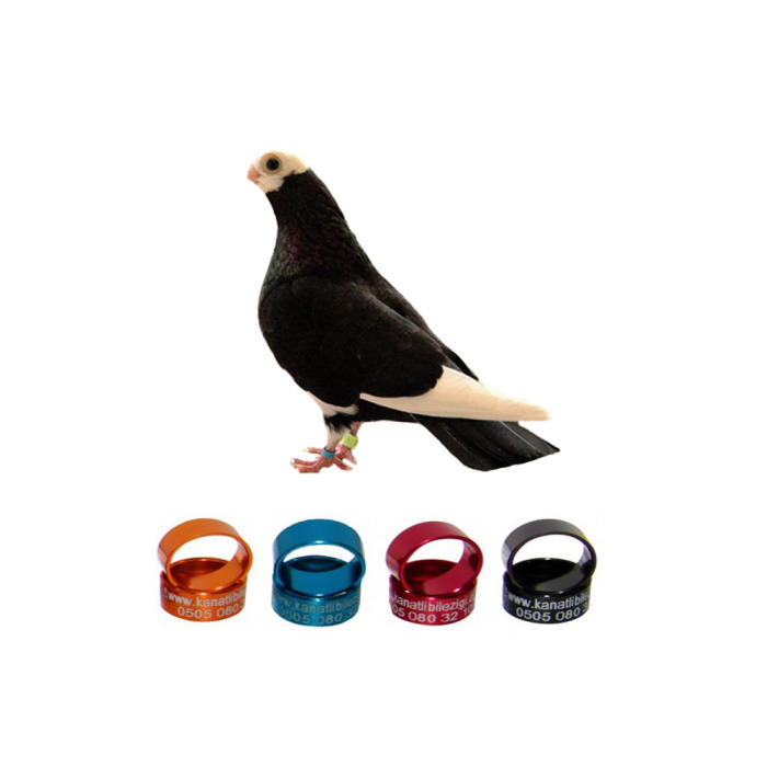 Baska Güvercin Bilezigi Alüminyum (50) Adet