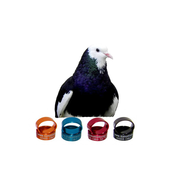 Dönek Güvercin Bilezikleri Alüminyum (50) Adet