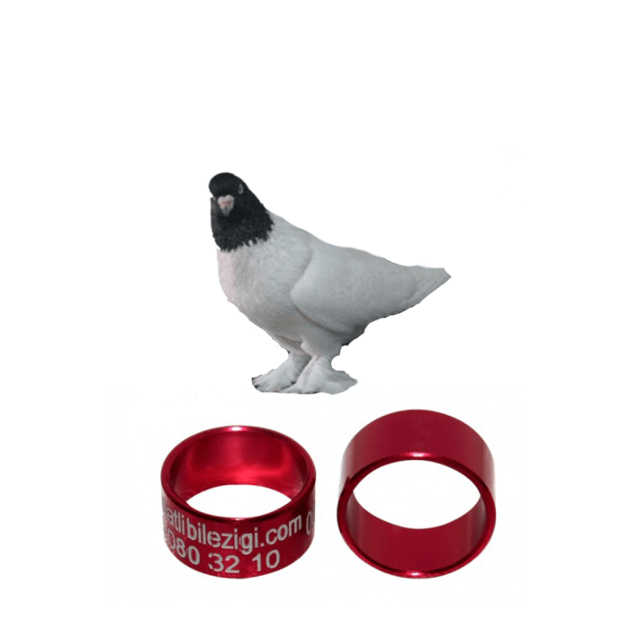 Kelebek (Saya) Güvercin Bilezikleri Alüminyum (50) Adet