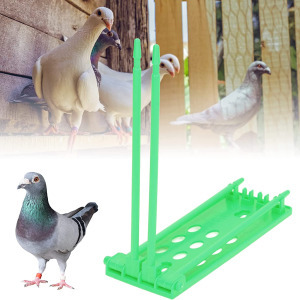 Güvercin Bilezik Standı