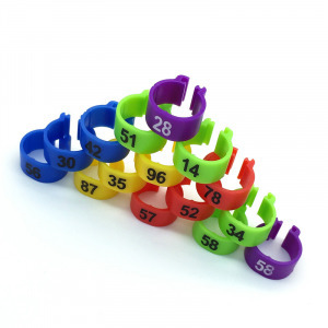 Plastik Güvercin Klipsleri Numaralı (100) Adet