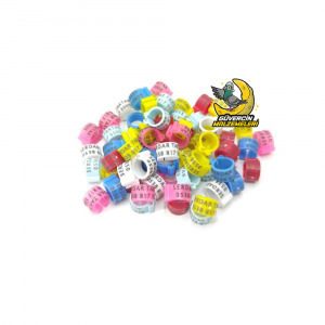 Çıtçıtlı İsime Özel Güvercin Klipsleri (50) Adet